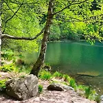 Hotel Logis Des Lacs 3*