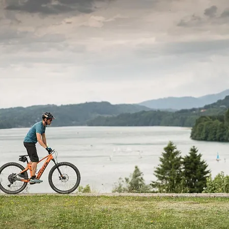 Logis & Restaurant Des Lacs 3* Celles-sur-Plaine