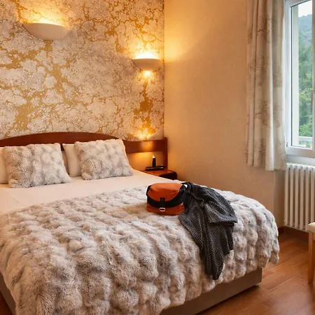 Logis & Restaurant Des Lacs