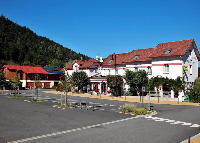 Logis & Restaurant Des Lacs Hotel