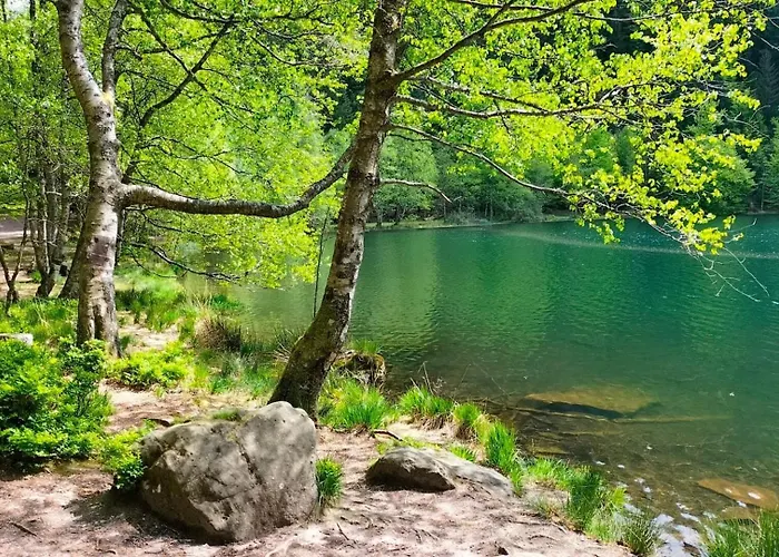 Hotel Logis Des Lacs 3*