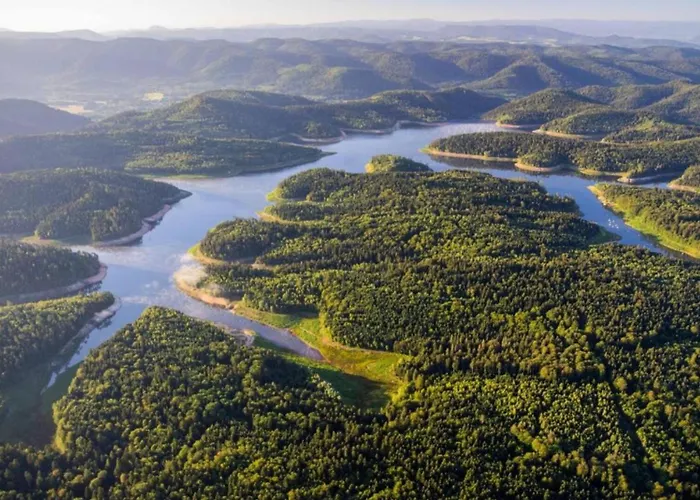 Hotel Logis & Restaurant Des Lacs Celles-sur-Plaine