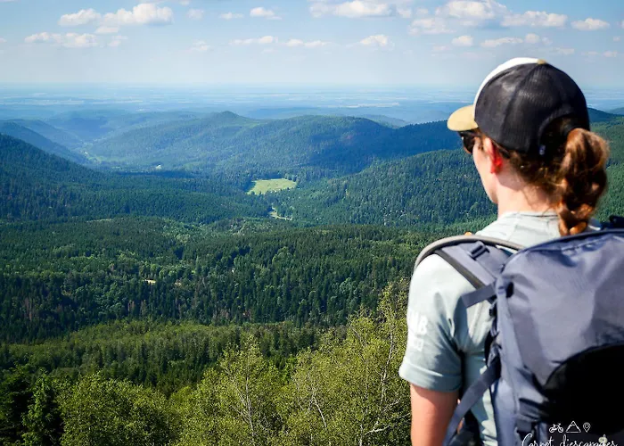 Logis & Restaurant Des Lacs