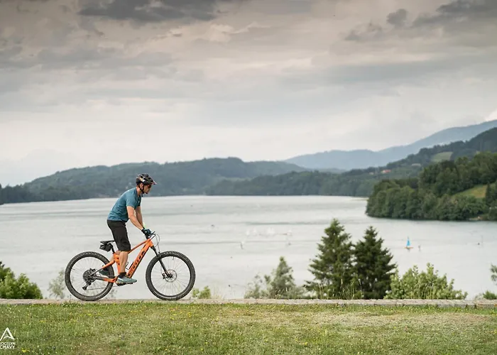 Logis & Restaurant Des Lacs 3* Celles-sur-Plaine