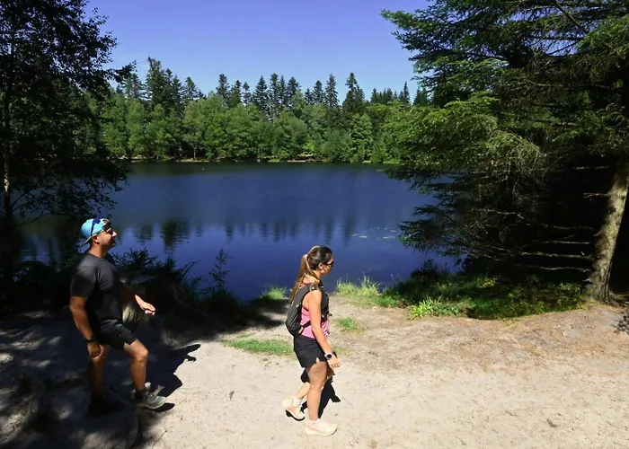 Logis & Restaurant Des Lacs Hotel