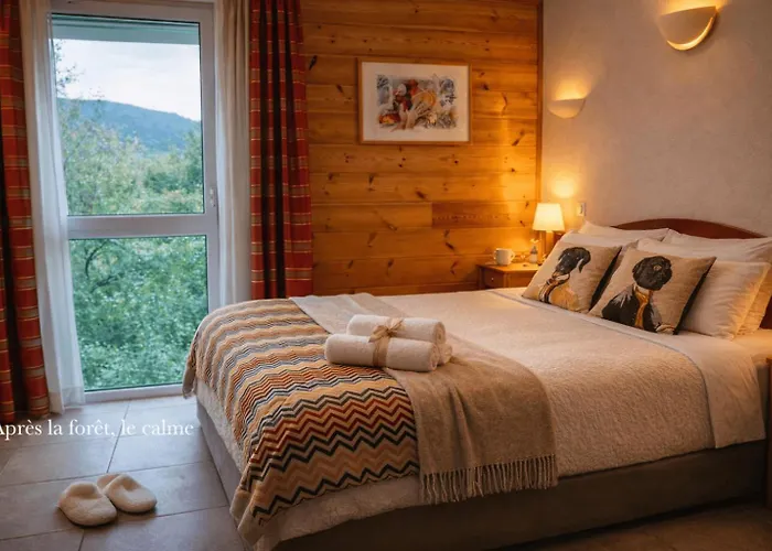 Hotel Logis & Restaurant Des Lacs 3*